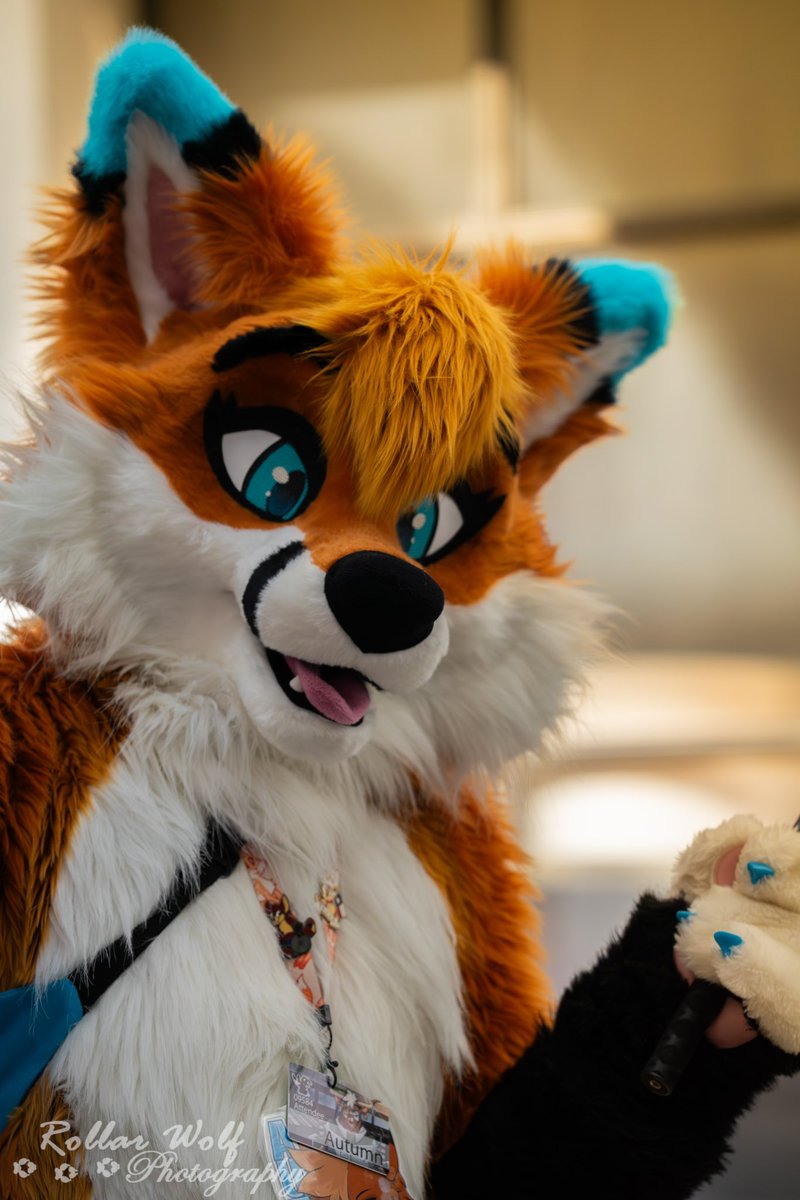 Happy #FursuitFriday everyone! Who am I seeing next week at FWA? 

📸<a href="/rollarwolf/">Rollar Wolf</a>