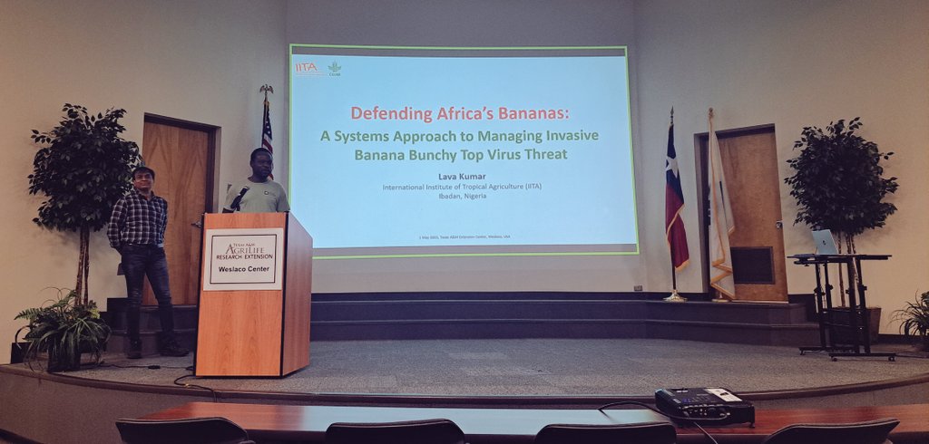 deejite1086's tweet photo. You may need to either zoom in on this picture or increase the brightness of your phone to see who we had yesterday from @IITA_CGIAR, delivering a seminar on their progress in managing the banana bunchy top virus (BBTV) in Africa.
#Banana
#Plantvirus
#PlantVirusVector https://t.co/jc1I26QT2q
