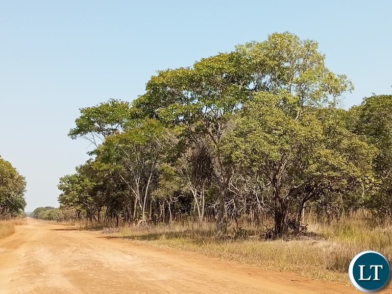lusakatimes.com/2025/05/01/lin…
Linking Zambia’s Climate Change Act, Forest Act, and Carbon Stock Regulations for Effective Carbon Trading