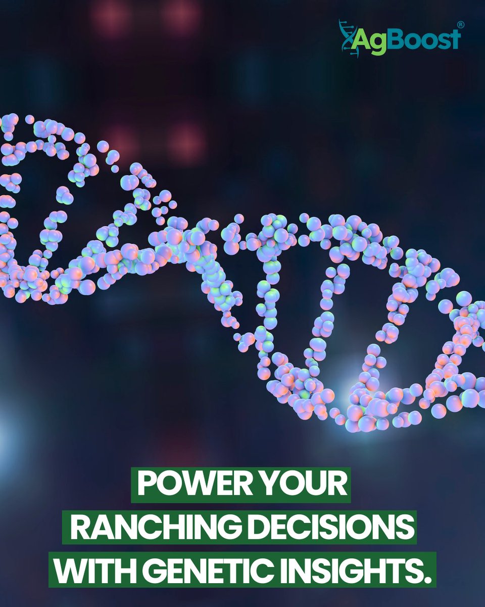 AgBoost makes genetic selection simple, efficient, and profitable.
✔️ Improve herd performance
✔️ Reduce health risks
✔️ Maximize productivity

Explore our tools today: agboost.ai

#AgTech #GeneticInsights