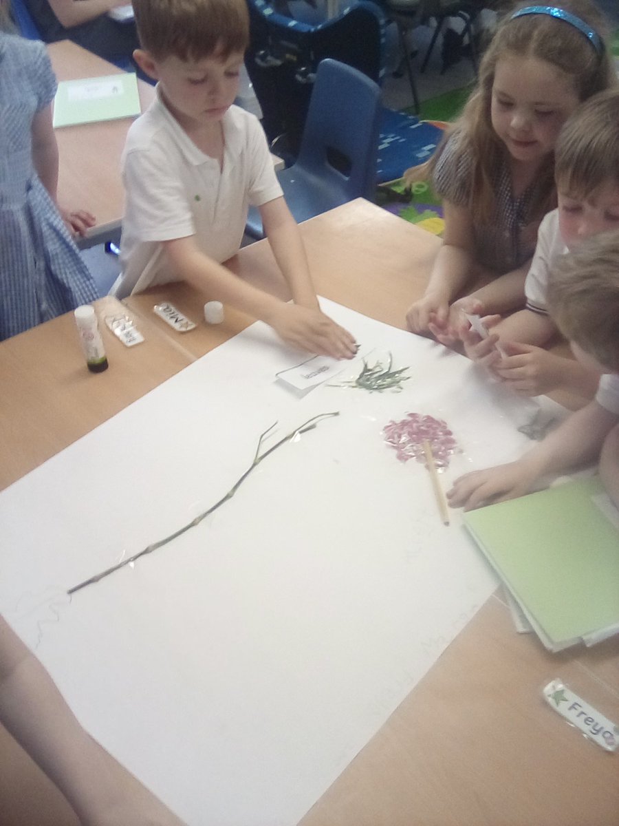 EyePrimary1's tweet photo. 🌼 Year 1 Budding Scientists! 🌼

Yesterday, Year 1 launched their new Science topic all about Plants! The children enjoyed working in small groups to carefully dissect and label the parts of a real flower, getting hands-on with petals, stems, and leaves.
🌱🔍💐 https://t.co/1B9GgjqZPi