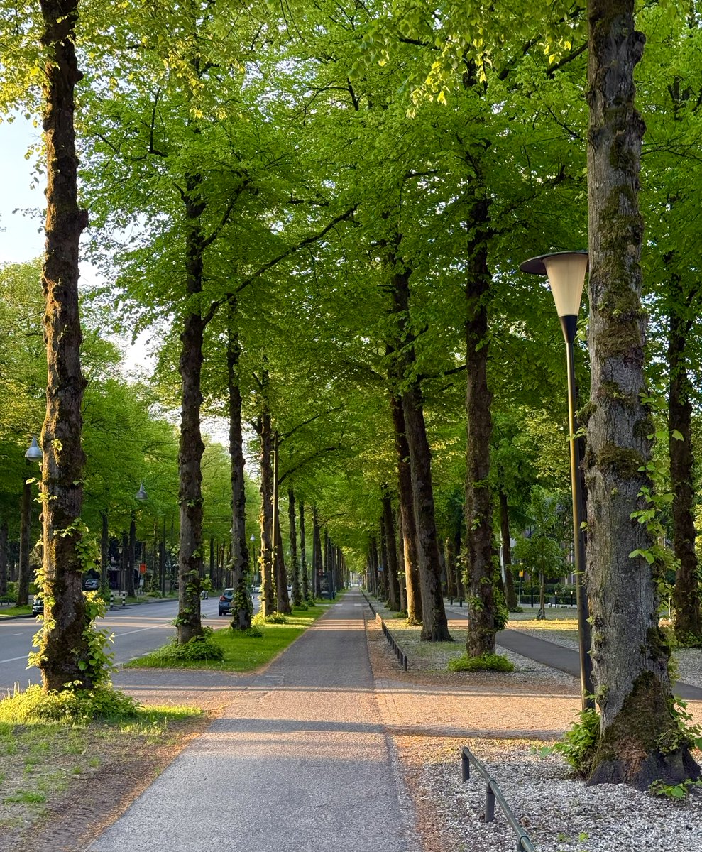 lexvo1's tweet photo. Een straat in mijn stad.
A street in my town.
私の町の通り

#Photography #Streetphotography https://t.co/mDkapAOylD