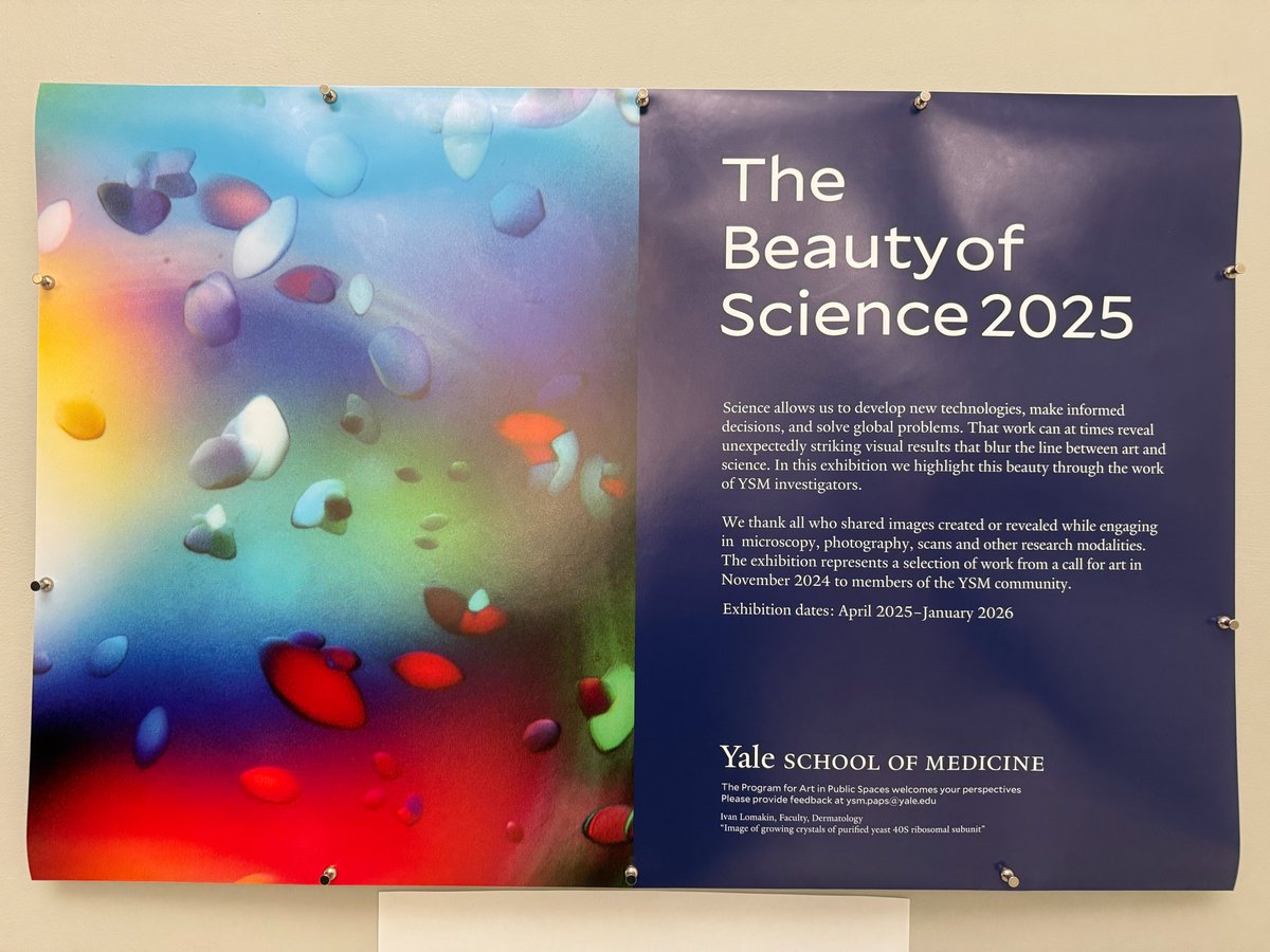 Congratulations to #YalePCCSM's Dr. Nebal Abu Hussein for being selected as part of The Beauty of Science 2025 art exhibition! Stop by the Cushing/Whitney Medical Library now through January to see some beautiful scientific images 🔬🎨
