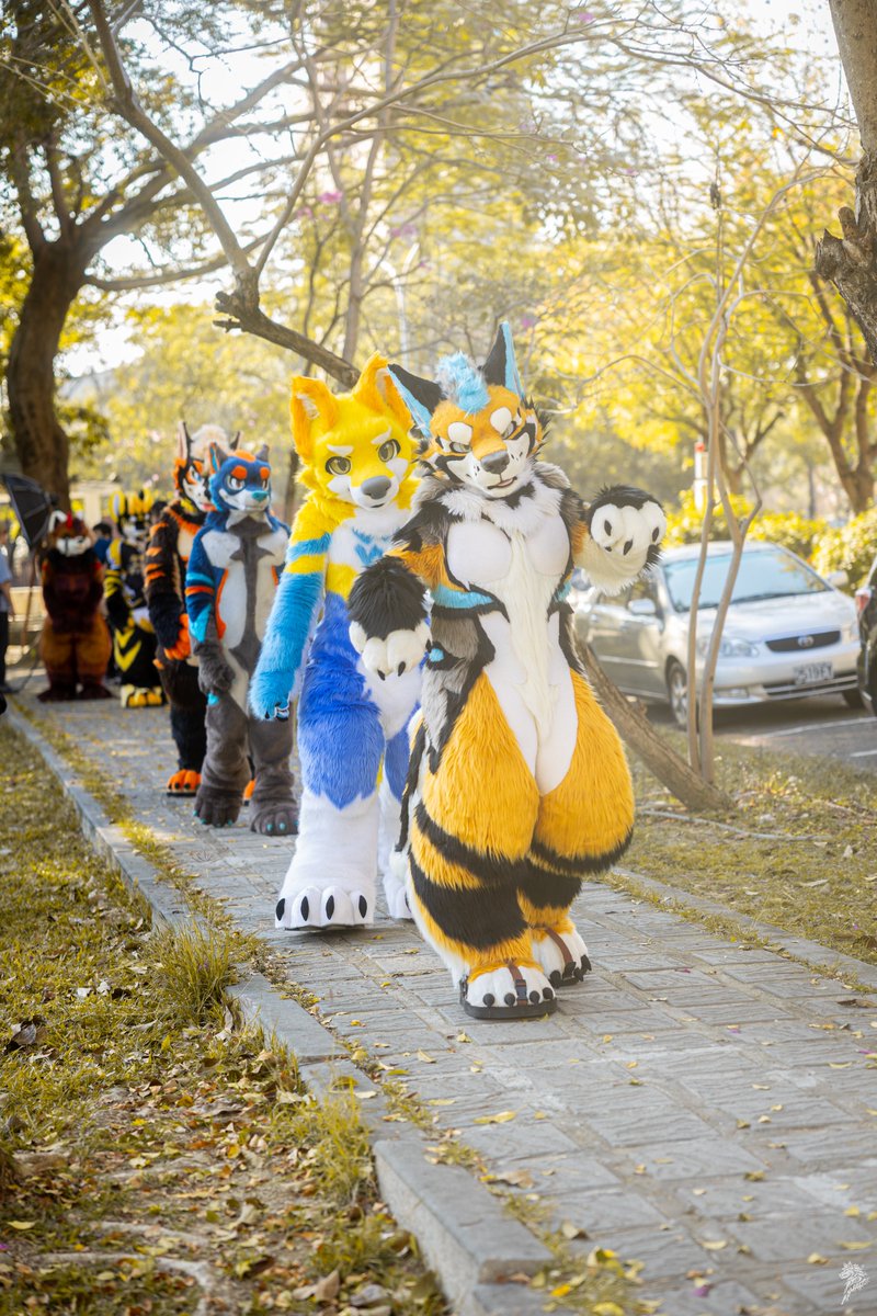 Let’s go, everyone~! Keep moving forward, forward, forward! &gt;W&lt;✨
📸:Wolf Amarok

#FursuitFriday