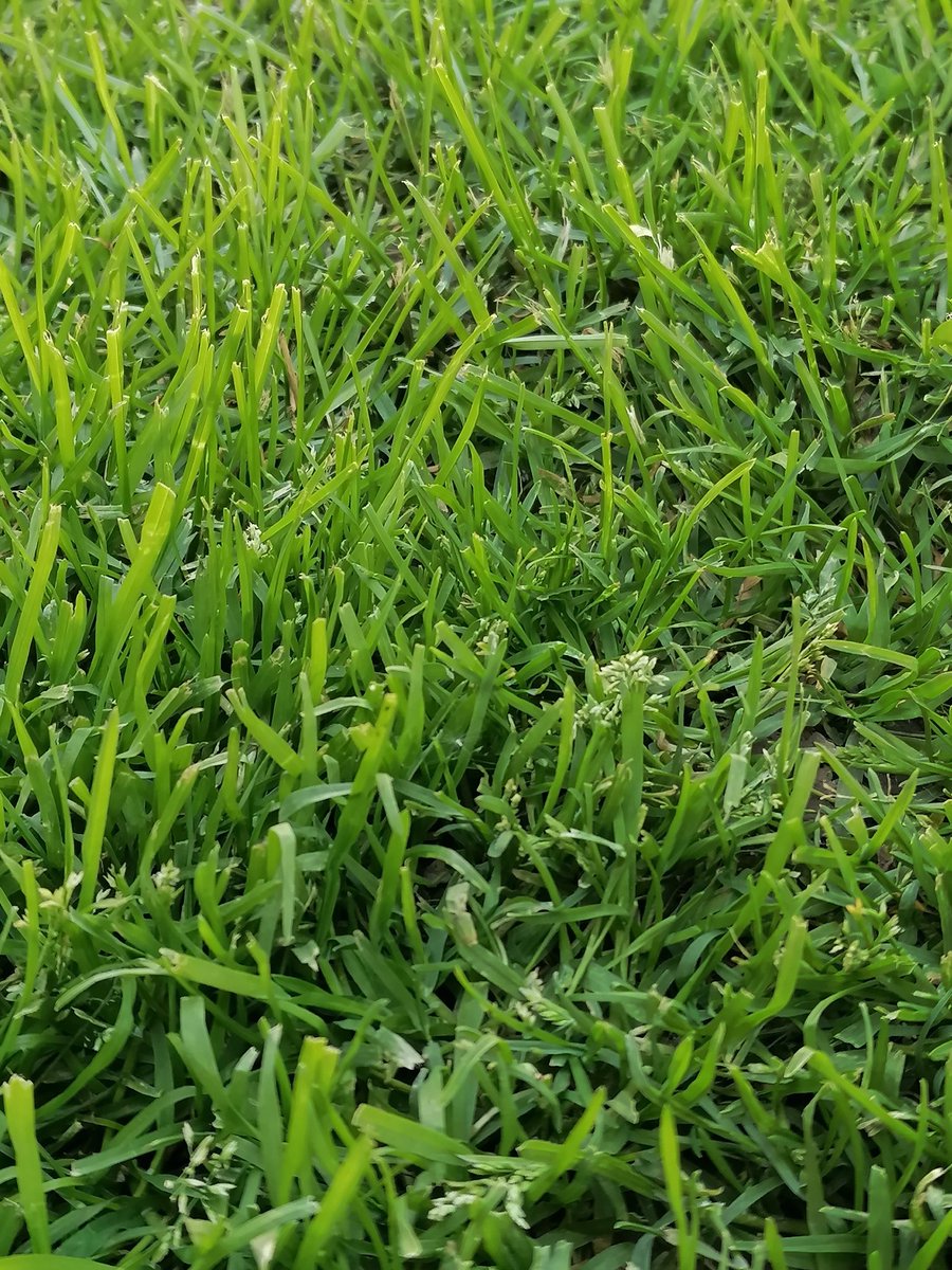 Ех Мице, Мице... Да го видеше ова, ќе почнеше да пасеш... 🤌
😂😂😂😂