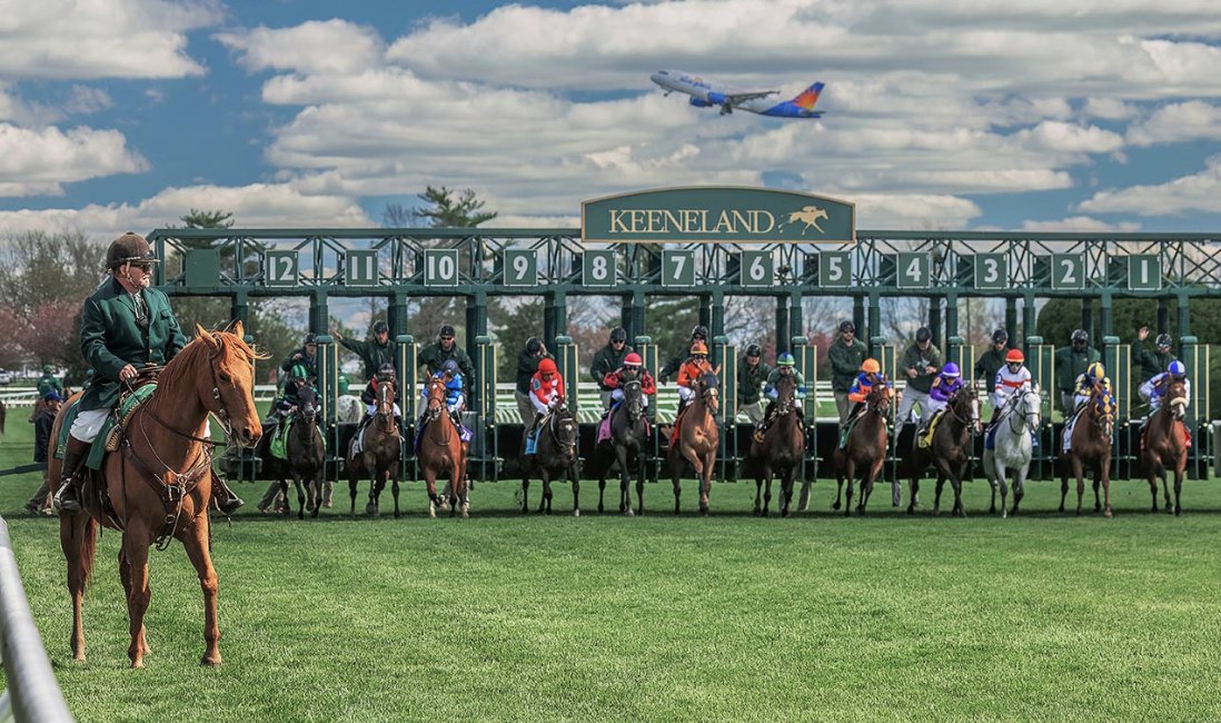 Naperville magazine tweet media