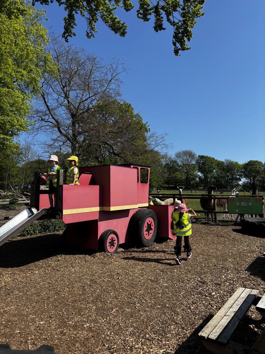 Year 1 had a great day at the farm with donkey rides, tractor rides, and tasty ice cream! 👩🏻‍🌾🚜🫏<a href="/StPetersAshton/">St Peter’s CE Ashton</a>