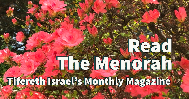 TiferethDC's tweet photo. Lots of Pictures and News Inside the May Menorah! - https://t.co/Huo0OS7k7X https://t.co/OFDtyjYoWm