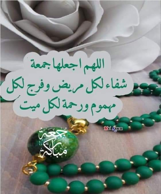 قد يعتلي ظهر الجياد ذبابُ
ويقود أسراب الصقور غرابُ

ويسود رجّافٌ بمحفل قومهِ
وعليه من حُلل النفاقِ ثيابُ

وترى الأسافلَ قد تعالى مجدهم
والحُرّ  فردُ  مالهُ .. أصحابُ

لكن : ما يُدمي الفؤاد مرارةً
أسدُ  و تنبُح  فوقهن  كلابُ..