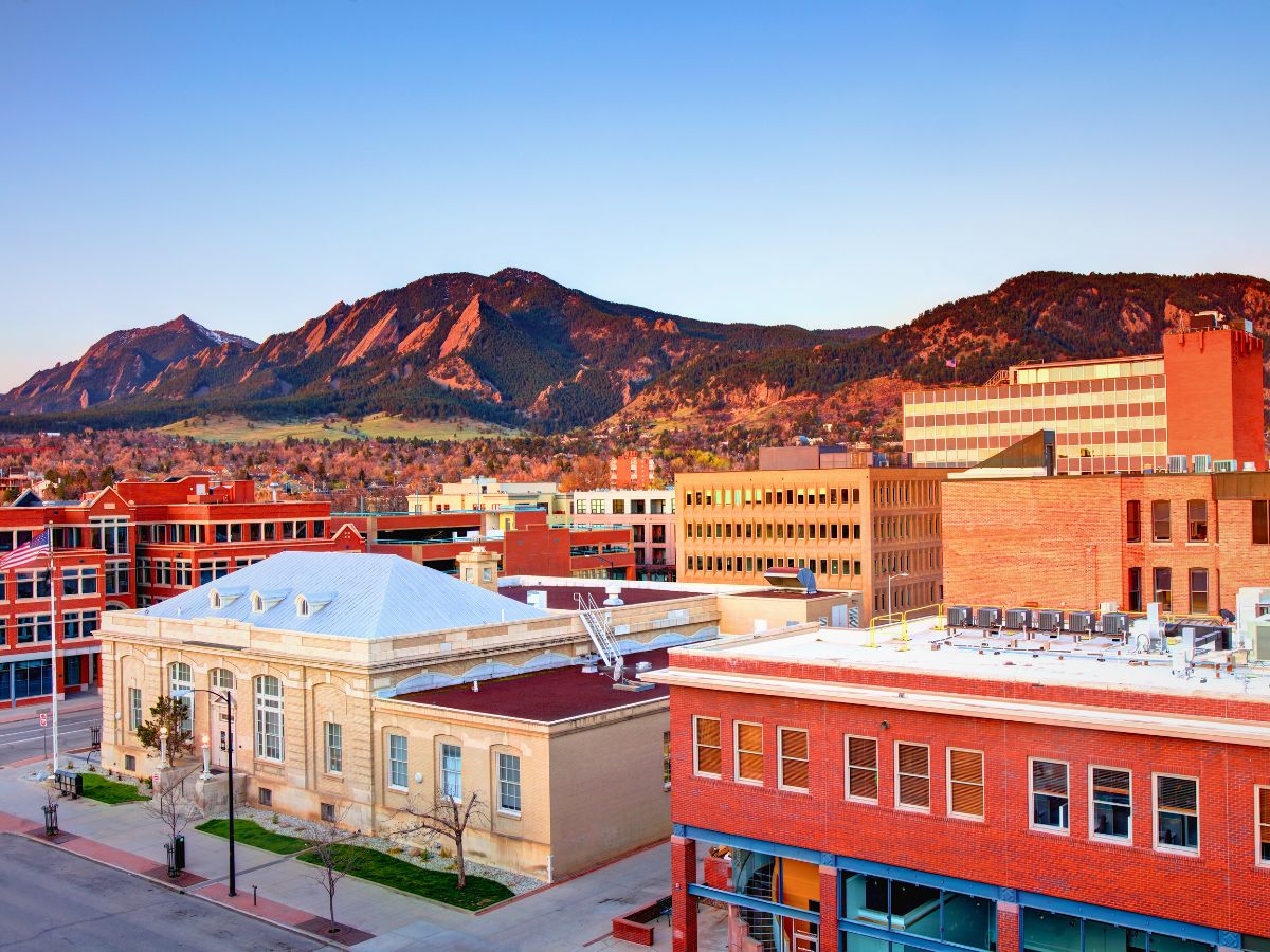 Sage Scott tweet media