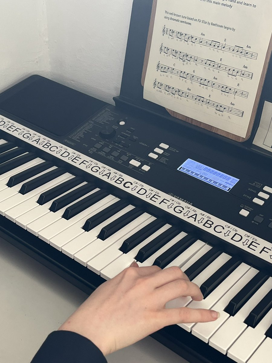 mrsmusicedwards's tweet photo. @bthccmusic Year 9 practising their solo performance skills #fűrelise #beethoven #chromaticism https://t.co/Yj0kLyt4HJ