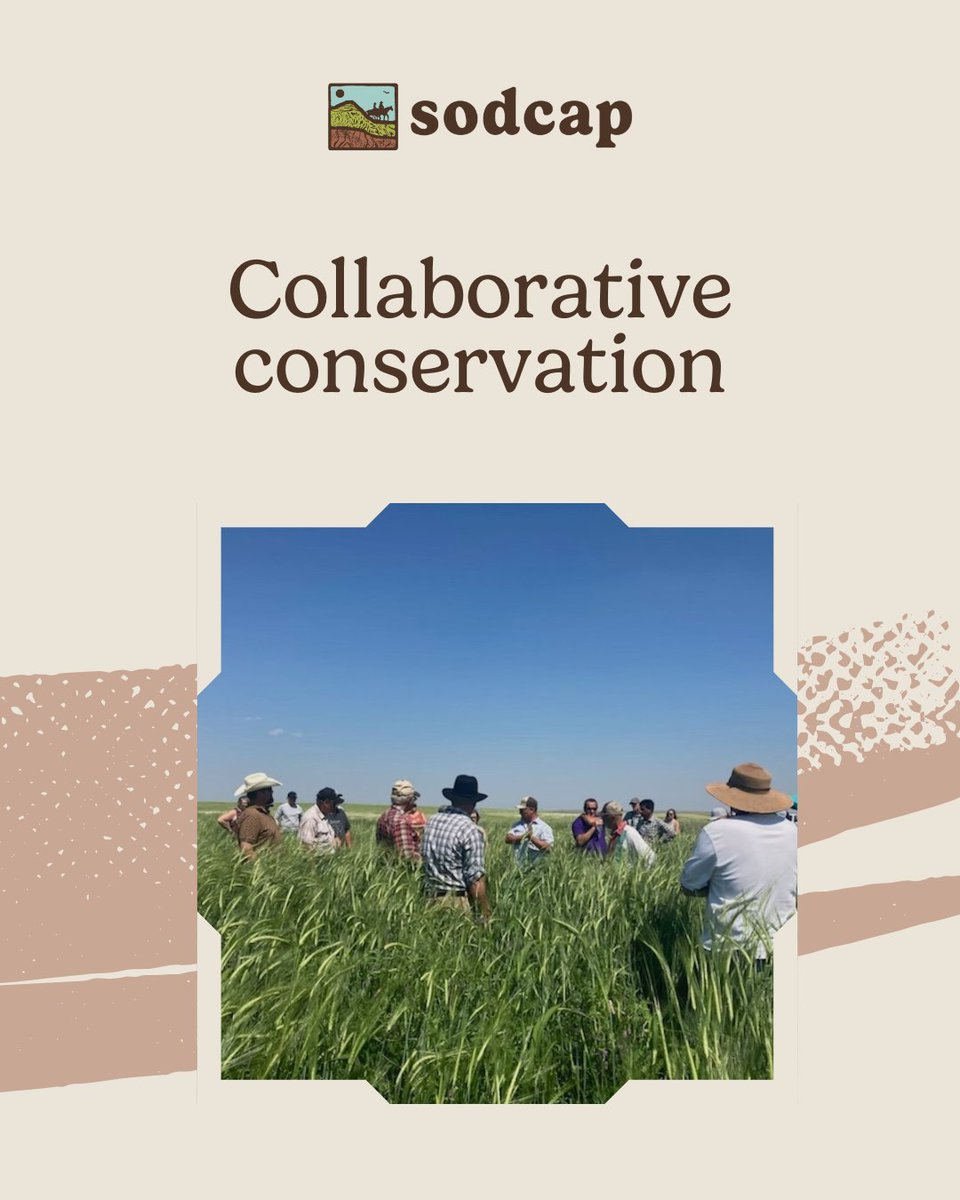 SODCAP’s efforts are supported by science and lived experience. By collaborating with researchers and land managers, we make decisions based on data and discussions. From species monitoring to habitat restoration, science and partnership guides our work to improve biodiversity.