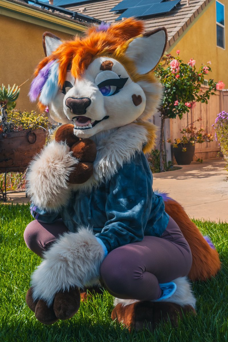 Piper! 🔜 Furlandia tweet media