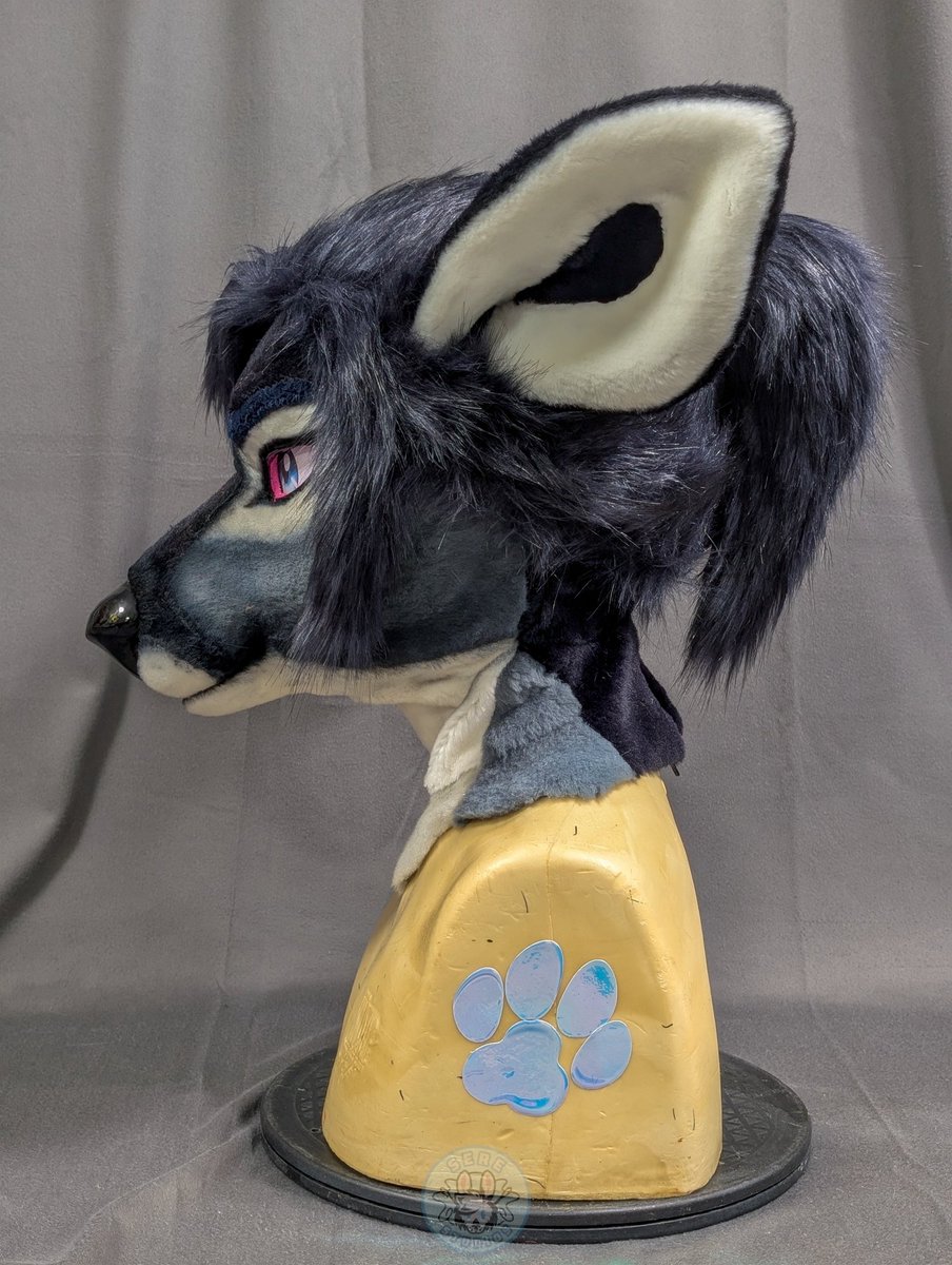 Finally got around to getting these girls ready for their new home! Both have been listed in the Dealer's Den.
