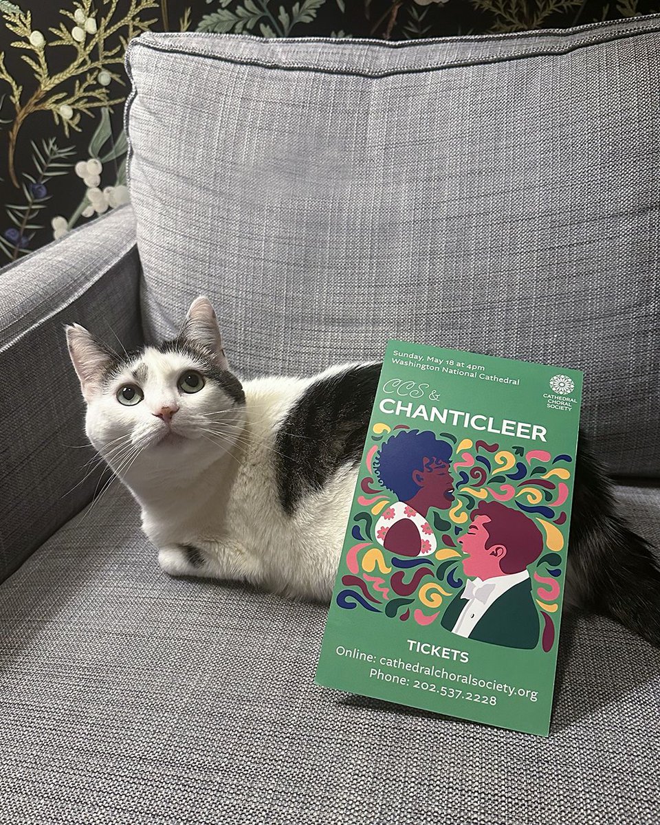 Meet Rhea, our Creative Media &amp; Marketing Manager’s furry friend! She hopes you’ll get tickets to CCS’s May 18 performance with Chanticleer 🎶 click below to secure your seats!
buff.ly/ShHCLuH