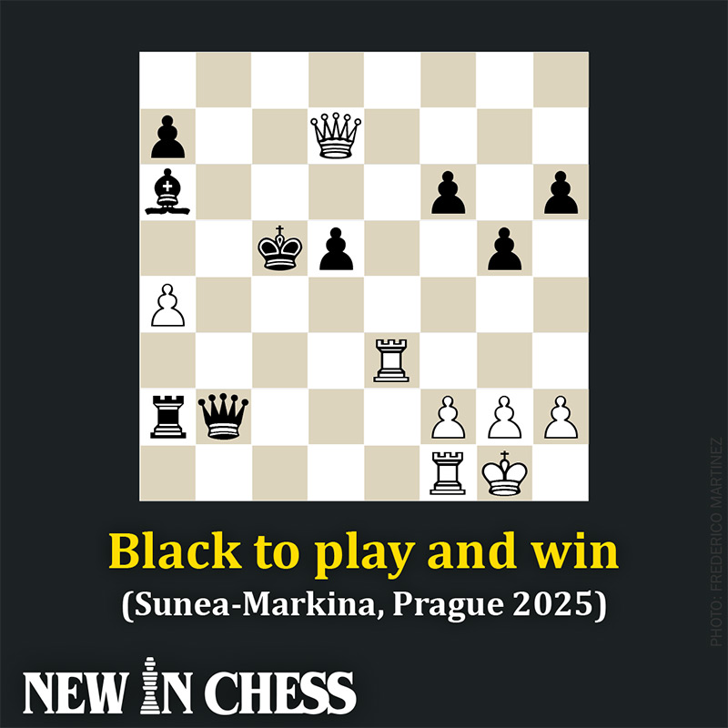 New In Chess (@newinchess) on Twitter photo Can you find the move that made White resign?
More tactics by <a href="/GMJacobAagaard/">GM Jacob Aagaard</a> in our latest New In Chess magazine issue.
newinchess.com/new-in-chess-2… Can you find the move that made White resign?
More tactics by <a href="/GMJacobAagaard/">GM Jacob Aagaard</a> in our latest New In Chess magazine issue.
newinchess.com/new-in-chess-2…