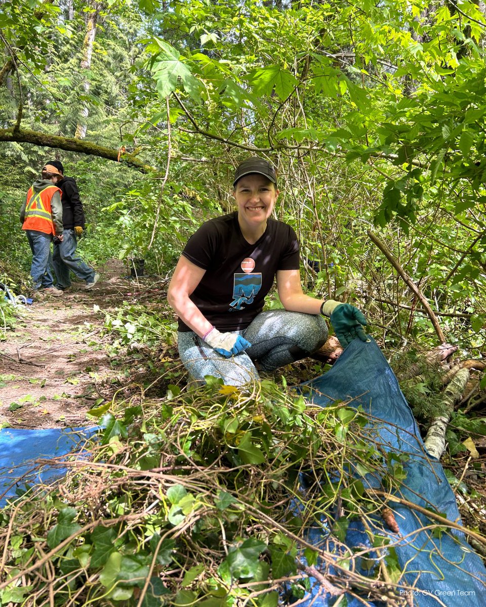 💪🌿28 strong volunteers revitalized 220 square metres of habitat at Ayum Creek at last Sunday's #PassportToNature event. We are incredibly grateful to our 'partners-in-vine' for the day, the @gvgreenteam, and for <a href="/TD_Canada/">TD (Canada)</a> Friends of the Environment's continued support!