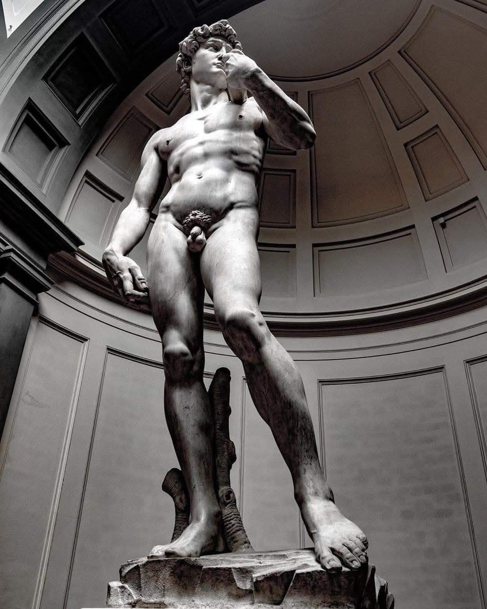 Arteymas_'s tweet image. El David de Miguel Ángel.