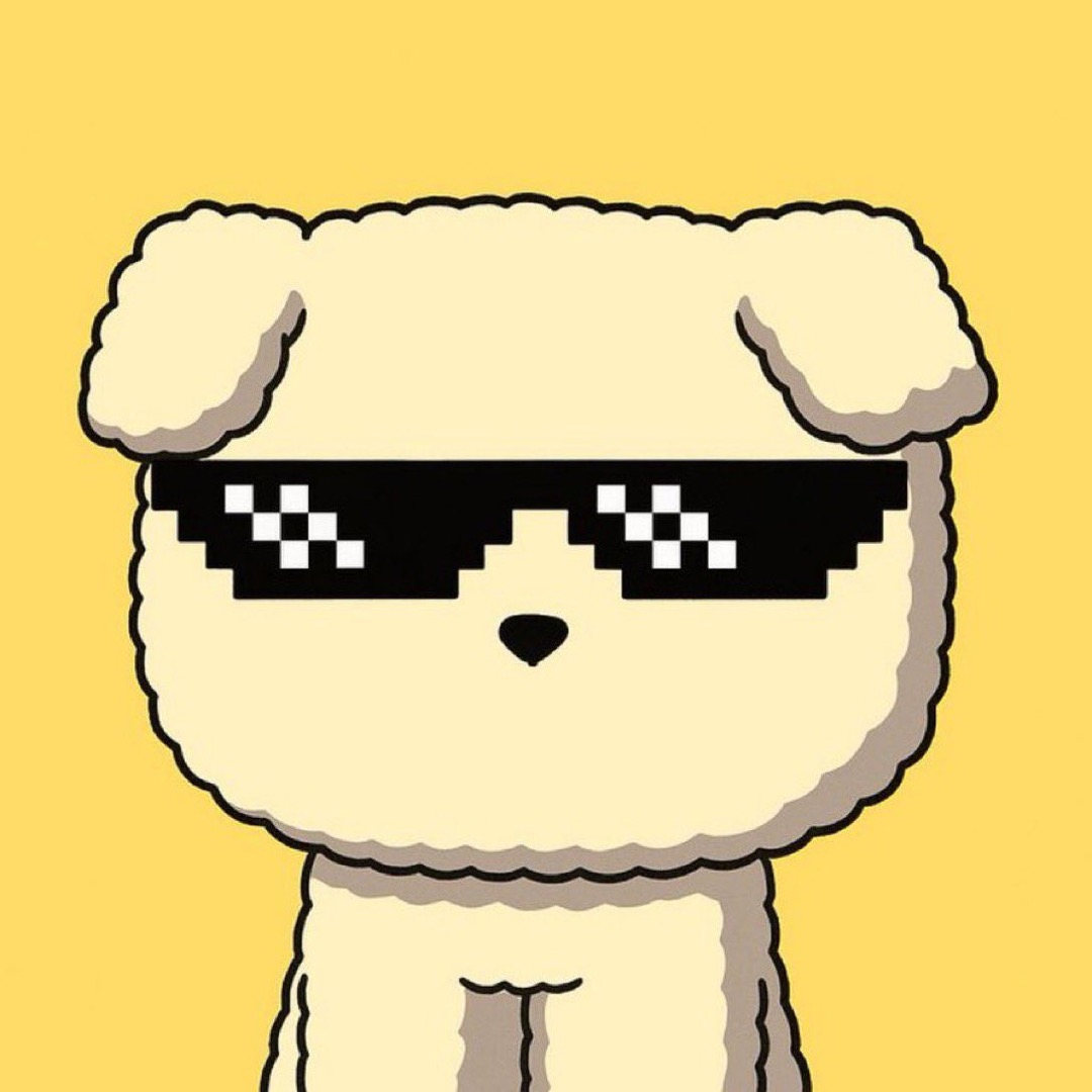 Have you ever held a 50m MC Coin?
Alot of mfers are rn and dont even realize.... $BOOPA isn't just a dog