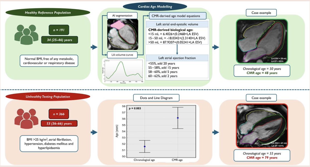 Along with prior validation of a heart organ proteomic clock to determine its pace of aging in an individual, there's a heart MRI clock, distinguishing healthy vs unhealthy aging
open-access
academic.oup.com/ehjopen/articl…
