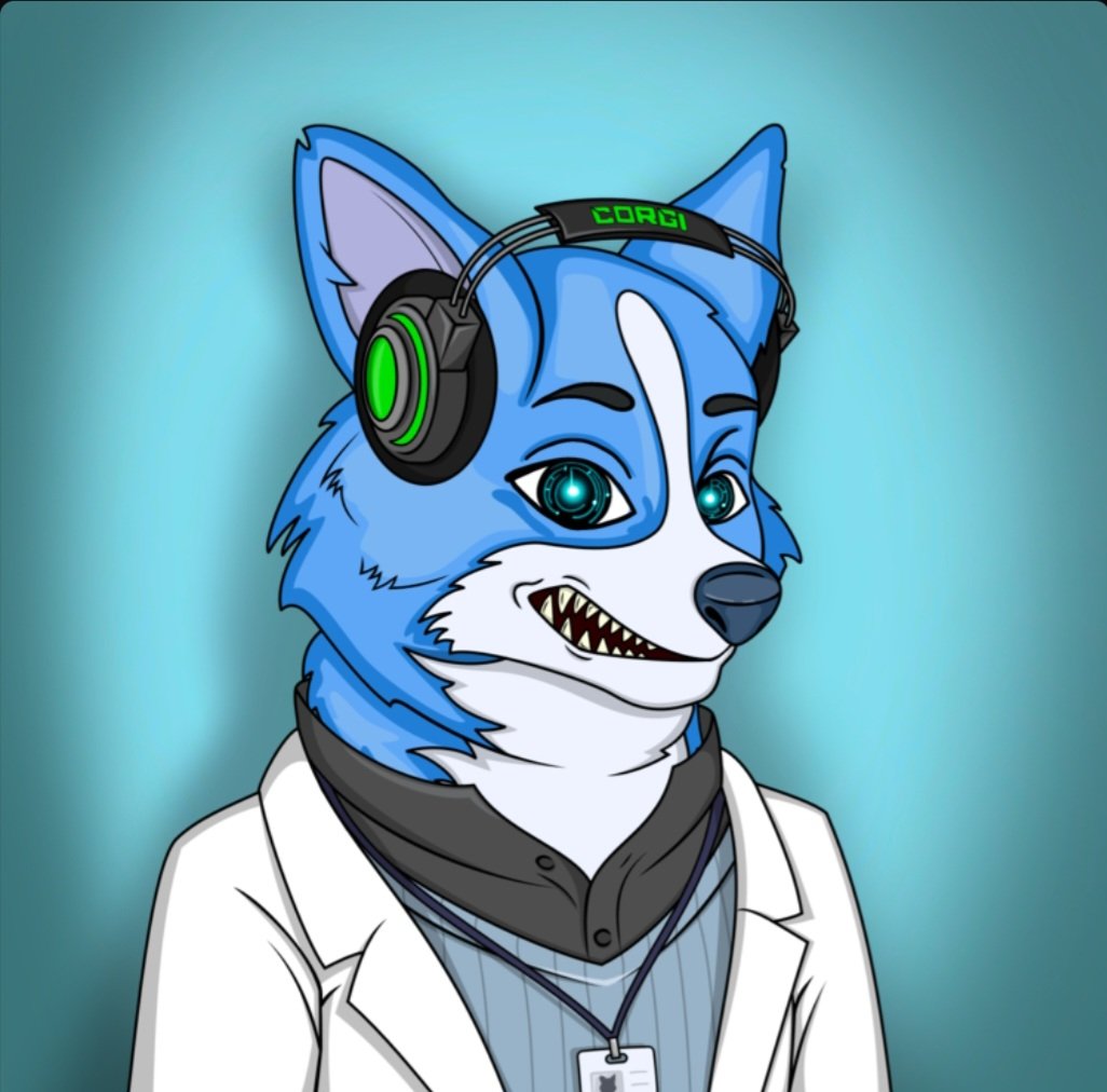 Lordly_cro's tweet image. 📢Corgi Club Holders! 🐶 
Exciting news! 
You can now stake your Corgi Club NFTs to earn $WCRO rewards. 🚀 Don&apos;t have a Corgi Club NFT yet? No worries! Mint yours today at the link below and join the pack to start fetching those gains!  😏#CorgiClub  #crofam  #CorgiStudio🐶…