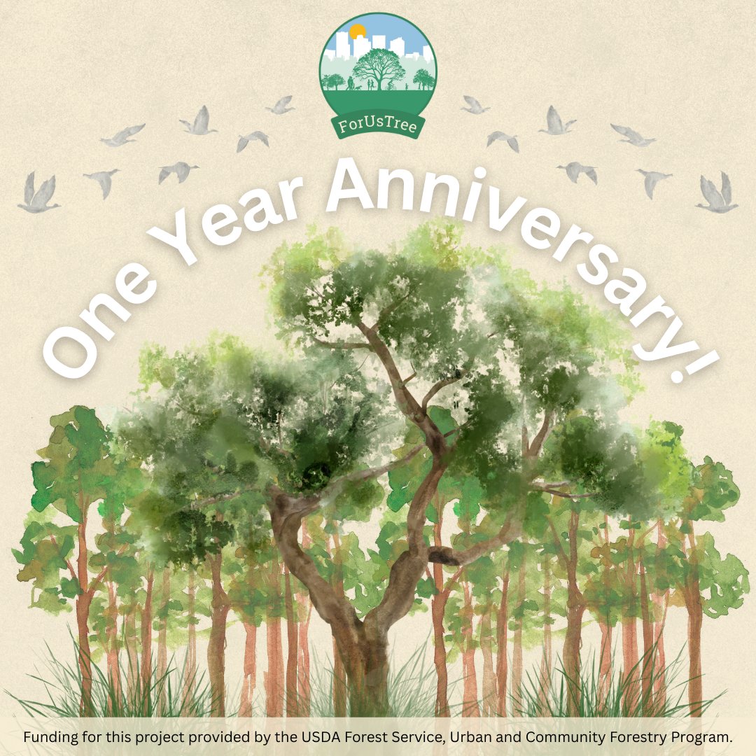HARCresearch's tweet image. 🌳 Happy One-Year Anniversary to #ForUsTree and our incredible partners!
We&apos;re celebrating a year of growth, thanks to the dedication, collaboration, &amp;amp; vision of every partner who made this milestone possible. We have a lot in store for this year! Visit forustreehtx.org