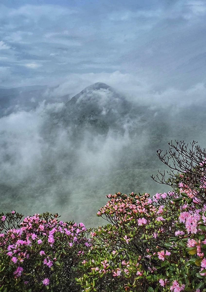 Hike East Tennessee tweet media