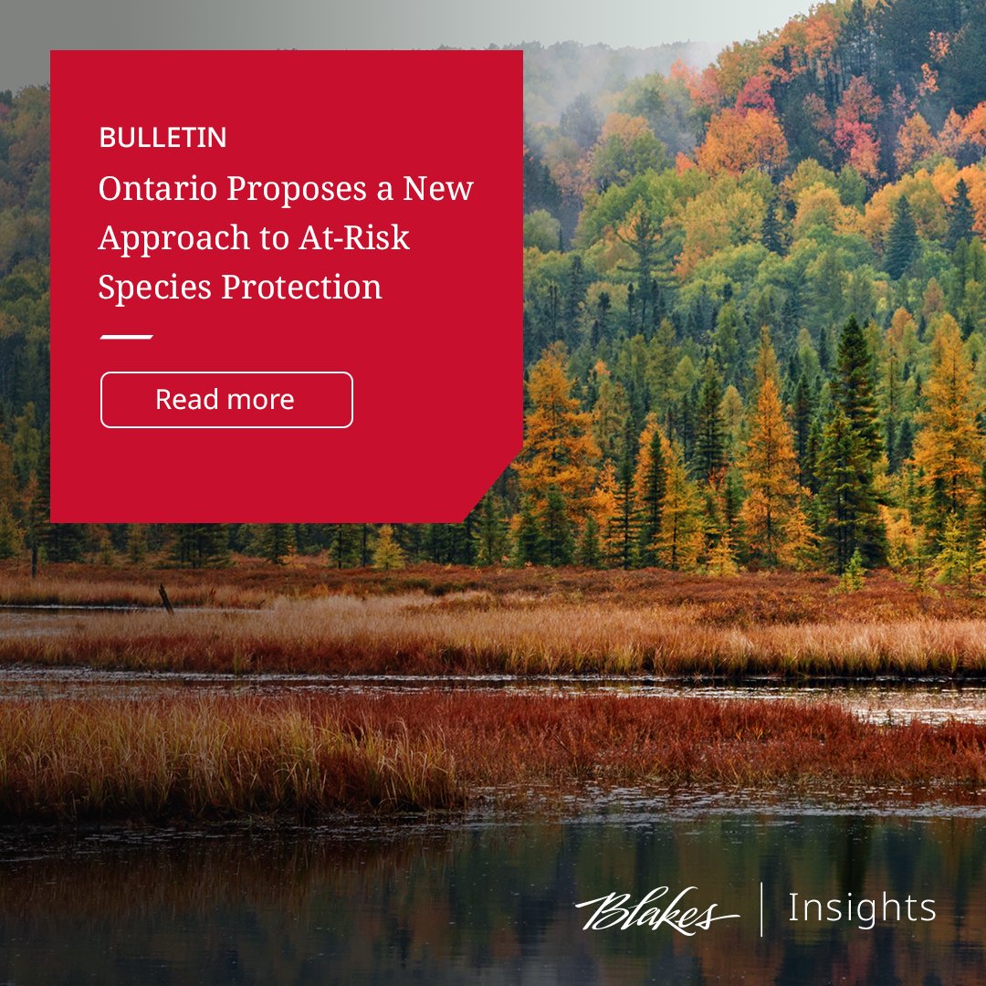 Ontario’s Bill 5 proposes major changes to endangered species protection, replacing the Endangered Species Act with the Species Conservation Act. Changes aim to streamline project requirements and protect at-risk species. Learn more: bit.ly/3Gwk3nT #BlakesMeansBusiness