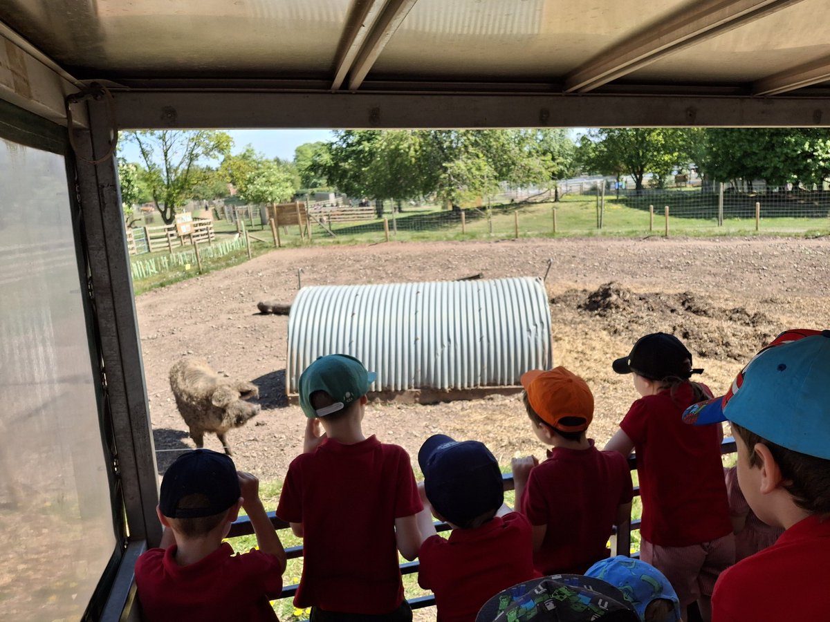 AnstonBrook's tweet image. Our EYFS and KS1 children had an amazing time at Whitepost Farm this week! @WhiteWoodsPAT1