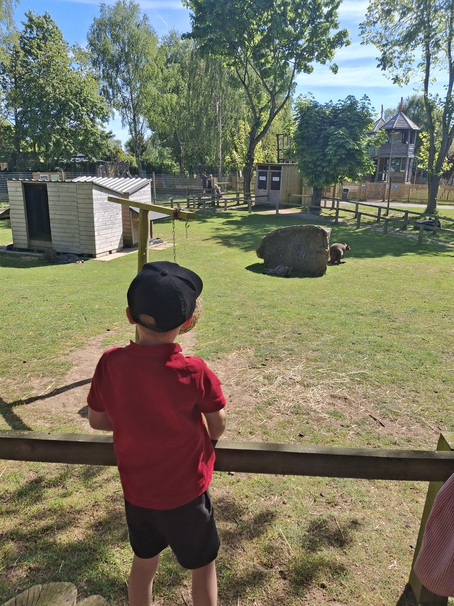 AnstonBrook's tweet image. Our EYFS and KS1 children had an amazing time at Whitepost Farm this week! @WhiteWoodsPAT1