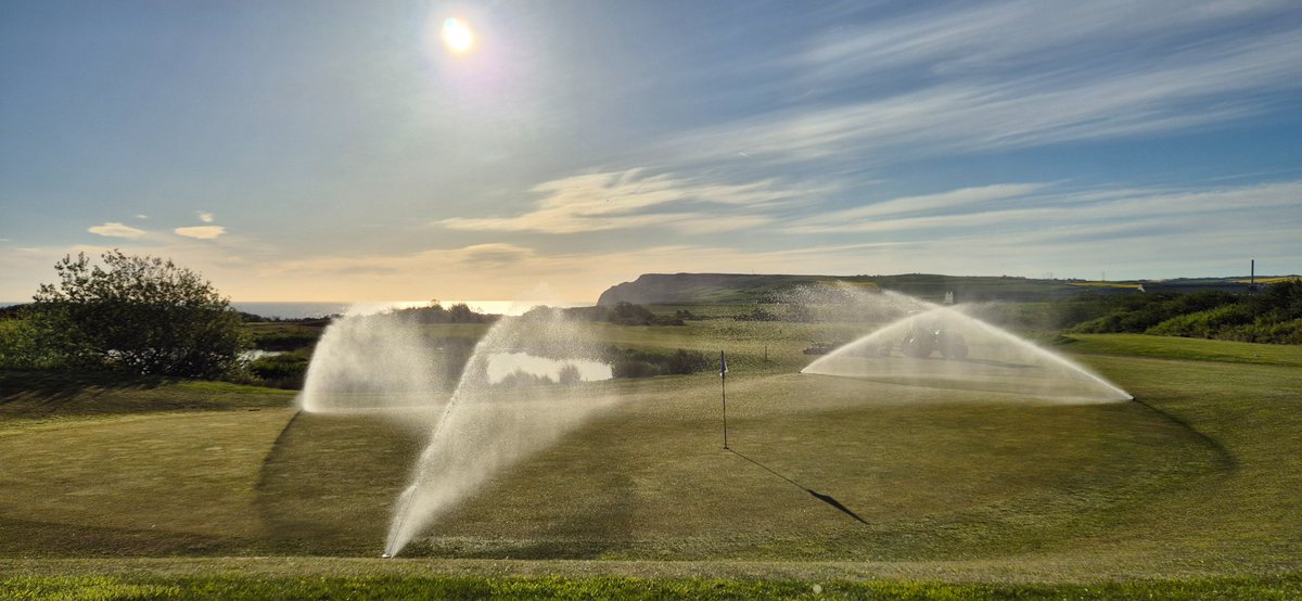 Hunley Greens (@hunley_greens) on Twitter photo 