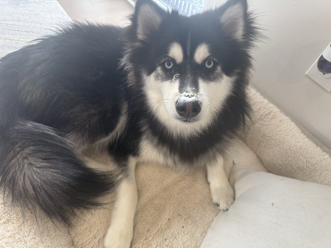 Watch Cody Schwab's leaked NSFW photo on TwXstars