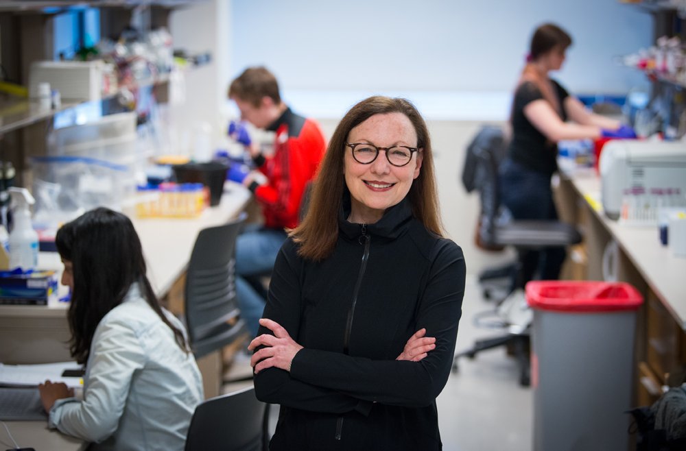 Penn Medicine CSO (@pennmedcso) on Twitter photo Congratulations to Shelley Berger (<a href="/PennCDB/">UPenn CDB</a>), recipient of the 2024 <a href="/AACR/">AACR</a>-Women in Cancer Research Charlotte Friend Lectureship! <a href="/berger_lab/">Berger Lab</a> <a href="/PennEpiInst/">Penn Epigenetics</a> <a href="/PennCancer/">Penn Medicine - Abramson Cancer Center</a> <a href="/PennSAS/">Penn Arts & Sciences</a> tinyurl.com/3t3a8zab Congratulations to Shelley Berger (<a href="/PennCDB/">UPenn CDB</a>), recipient of the 2024 <a href="/AACR/">AACR</a>-Women in Cancer Research Charlotte Friend Lectureship! <a href="/berger_lab/">Berger Lab</a> <a href="/PennEpiInst/">Penn Epigenetics</a> <a href="/PennCancer/">Penn Medicine - Abramson Cancer Center</a> <a href="/PennSAS/">Penn Arts & Sciences</a> tinyurl.com/3t3a8zab