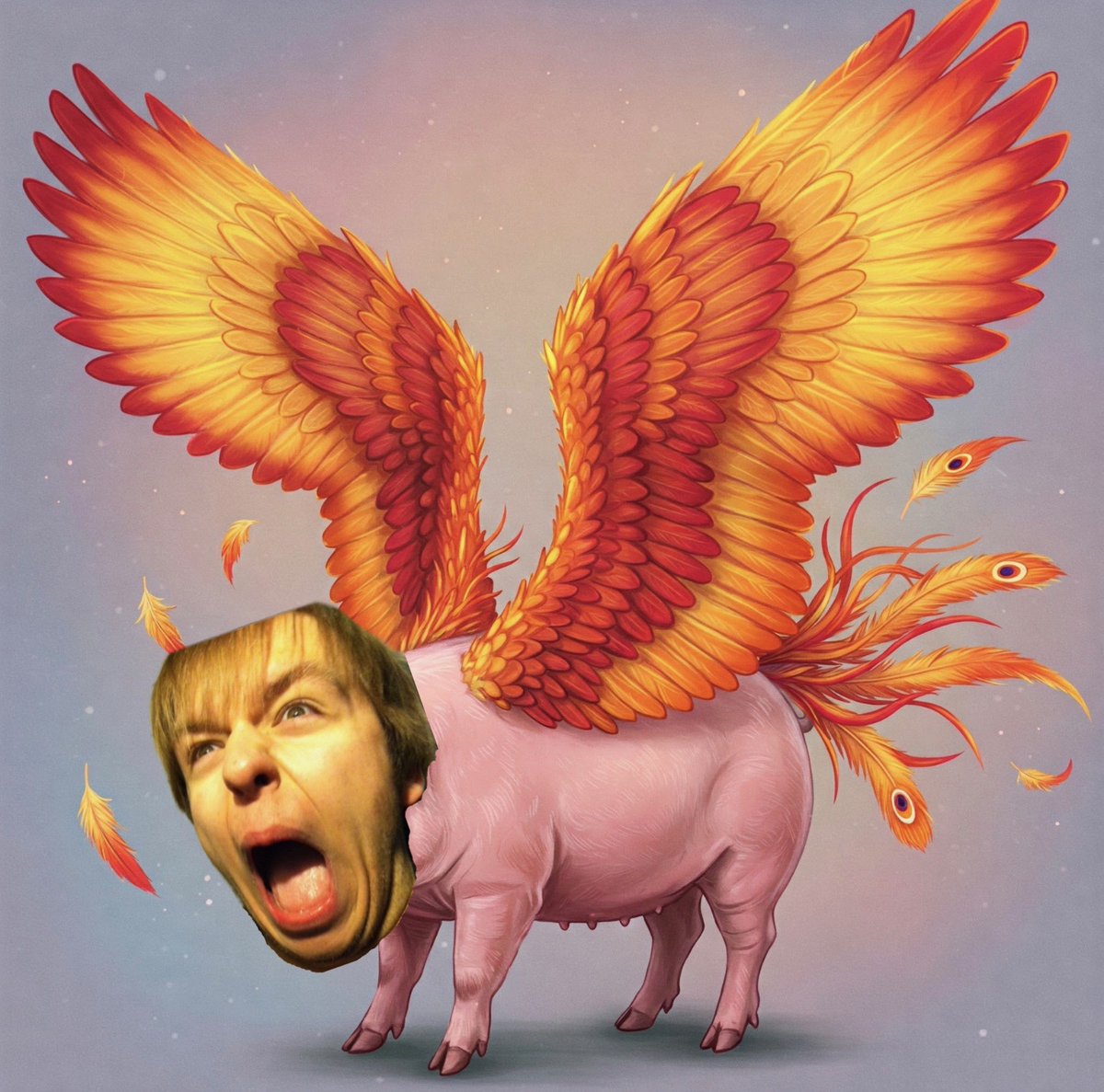 HE HAS BEEN REBORN!!!!! 🥓🥓🥓🥓BETTER KNOWN AS THE PORK BIRD OR THE SLAM PIG OUR VERY OWN WELLIN STRIKES FEAR INTO HIS FOES!!! 🥓🥓🥓 SUNDAY IS NOT READY FOR THIS HOGS MASSIVE HOG 🥓🥓🥓😈😈😈