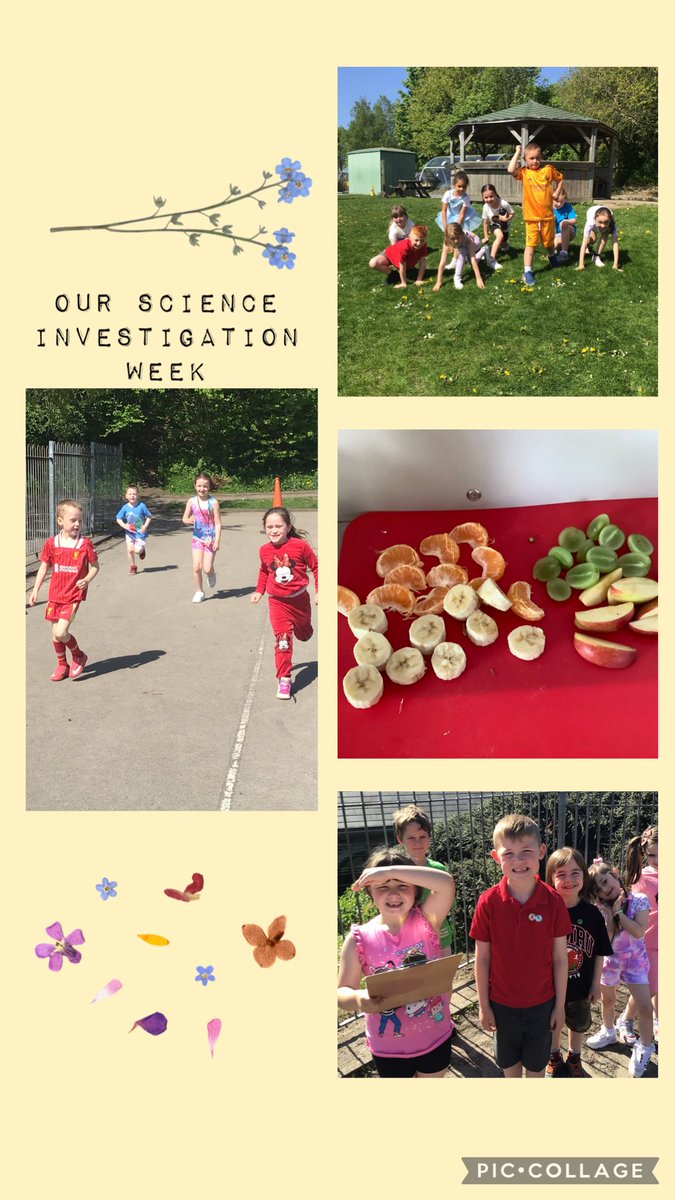Dosbarth 4 have been researching and investigating whether eating fruit before exercise impacts how many laps they can run in 5 minutes, compared to when they have no fruit. Which fruit had the biggest impact? Tune in next week! <a href="/garntegprimary/">Garnteg Primary</a> <a href="/missswilliams95/">Mrs S Parfitt</a> 🍇 🍏 🍌 🍊
