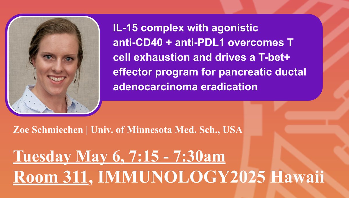 IngunnStromnes's tweet image. Attending #AAI2025 and want to learn about how a new combination immunotherapy eradicates pancreatic cancer? Zoe will be giving a talk on her work investigated CD8 and CD4 T cells in a murine model of PDA as part of TIPT5 block symposium. Don't miss it!
