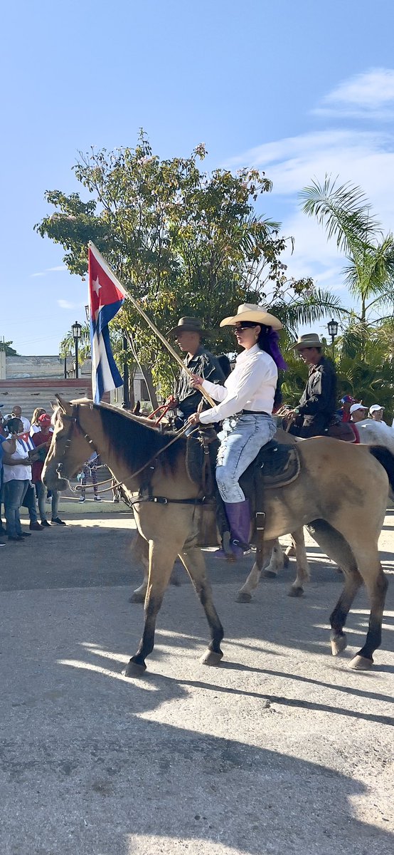 Gallo de pelea tweet media