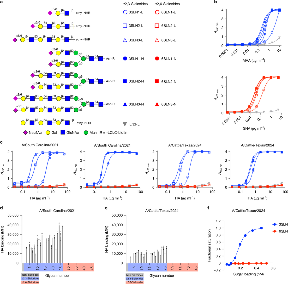 Penn Medicine CSO (@pennmedcso) on Twitter photo New research out in <a href="/Nature/">nature</a> finds that bovine H5N1 binds poorly to human-type sialic acid receptors ft. <a href="/jeff_scientia/">Jefferson Santos</a>, Yan Zhao & <a href="/SCOTTeHENSLEY/">Hensley Lab</a> (<a href="/PennMicro/">Penn Microbiology</a>) nature.com/articles/s4158… New research out in <a href="/Nature/">nature</a> finds that bovine H5N1 binds poorly to human-type sialic acid receptors ft. <a href="/jeff_scientia/">Jefferson Santos</a>, Yan Zhao & <a href="/SCOTTeHENSLEY/">Hensley Lab</a> (<a href="/PennMicro/">Penn Microbiology</a>) nature.com/articles/s4158…