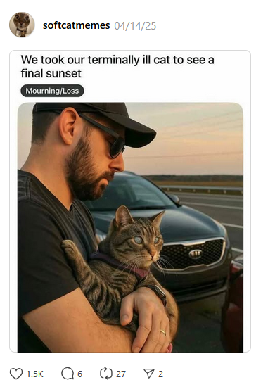 RNG | Cell tweet media