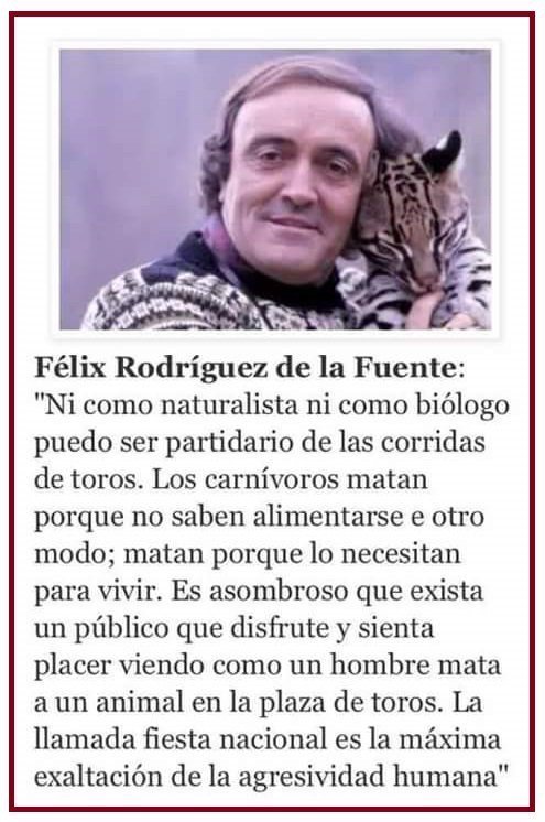 Poco se está hablando de este hilo y de los audios de Frank Cuesta. Mentiras, engaños, y asesinato de gatos. 

Si amas a los animales, los amas a todos. Cuesta defendió la tauromaquia, Rodríguez de la Fuente la odiaba. Él sí amaba a los animales.