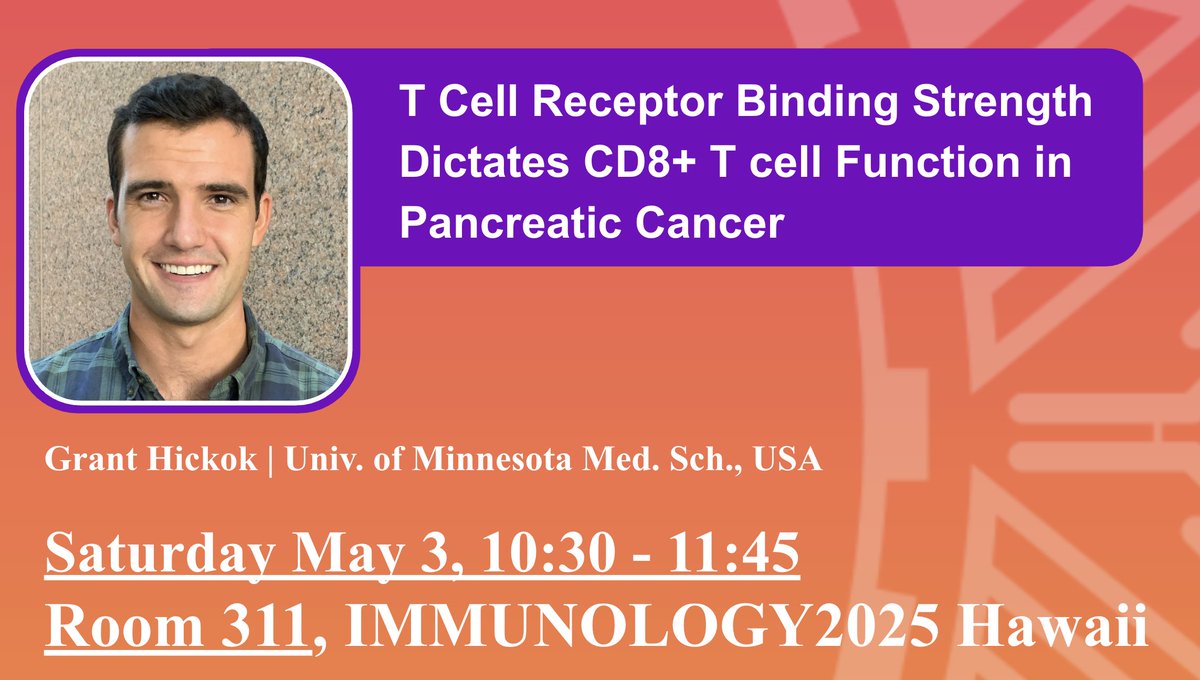 IngunnStromnes's tweet image. Hello #AAI2025 ! Want to learn about how T cell receptor strength dictates CD8 T cell funtion? Grant is presenting his research on CD8 T cell clones with varying TCR strength and how it leads to differing responses in a murine model of pancreatic cancer. See you tomorrow!