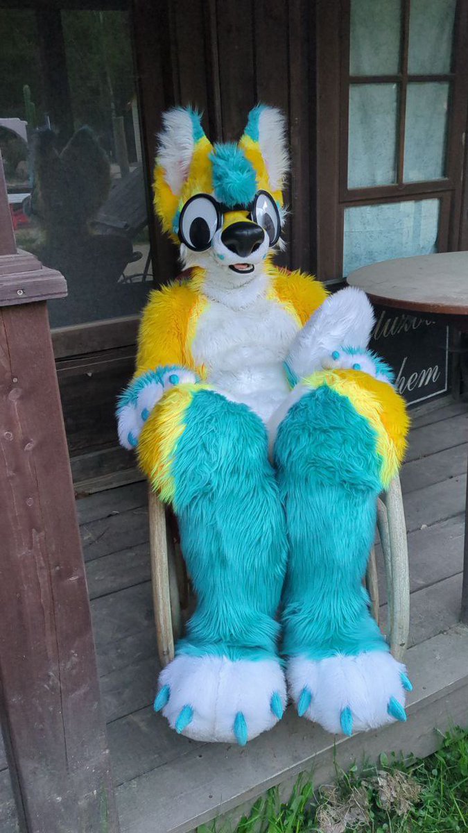 Resting and looking into all directions #FursuitFriday 
📸 Haflink