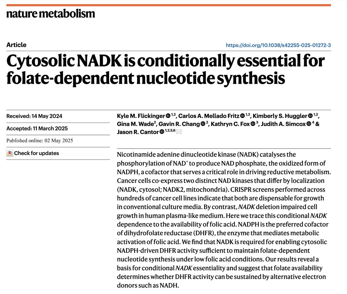 Jason R. Cantor (@jasonrcantor) on Twitter photo excited to share our latest work now online <a href="/NatMetabolism/">Nature Metabolism</a>, led by <a href="/kyle_flickinger/">Kyle Flickinger</a>, where we unravel a mechanistic basis for the conditional essentiality of NADK, one of the many interesting hits from our previously reported CRISPR screening with HPLM rdcu.be/ekpu6 excited to share our latest work now online <a href="/NatMetabolism/">Nature Metabolism</a>, led by <a href="/kyle_flickinger/">Kyle Flickinger</a>, where we unravel a mechanistic basis for the conditional essentiality of NADK, one of the many interesting hits from our previously reported CRISPR screening with HPLM rdcu.be/ekpu6