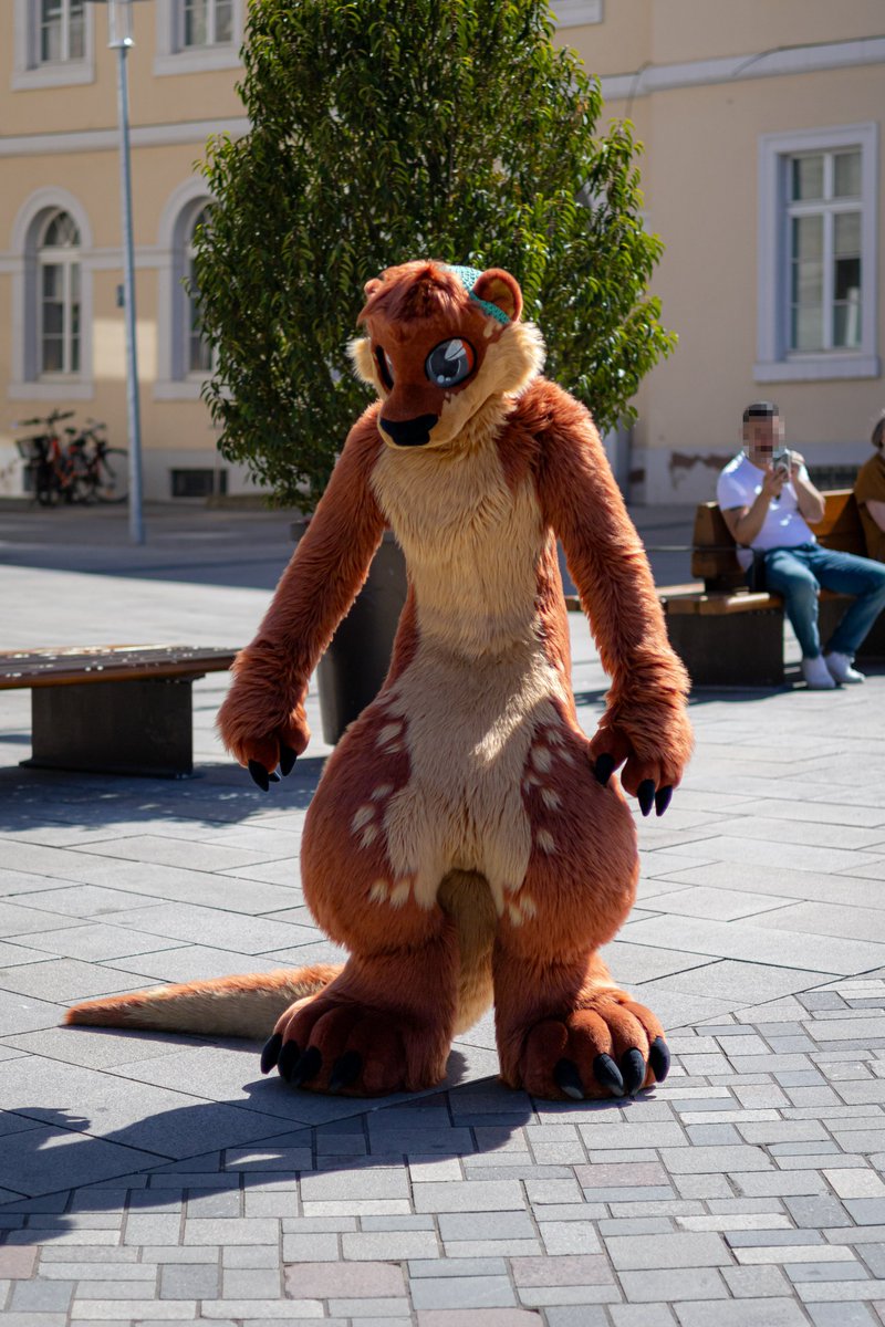 Looking menacing as fuq. Tail game's strong. 🦦
📸<a href="/Lumino_Furry/">Lumino</a>

#FursuitFriday #fursuit