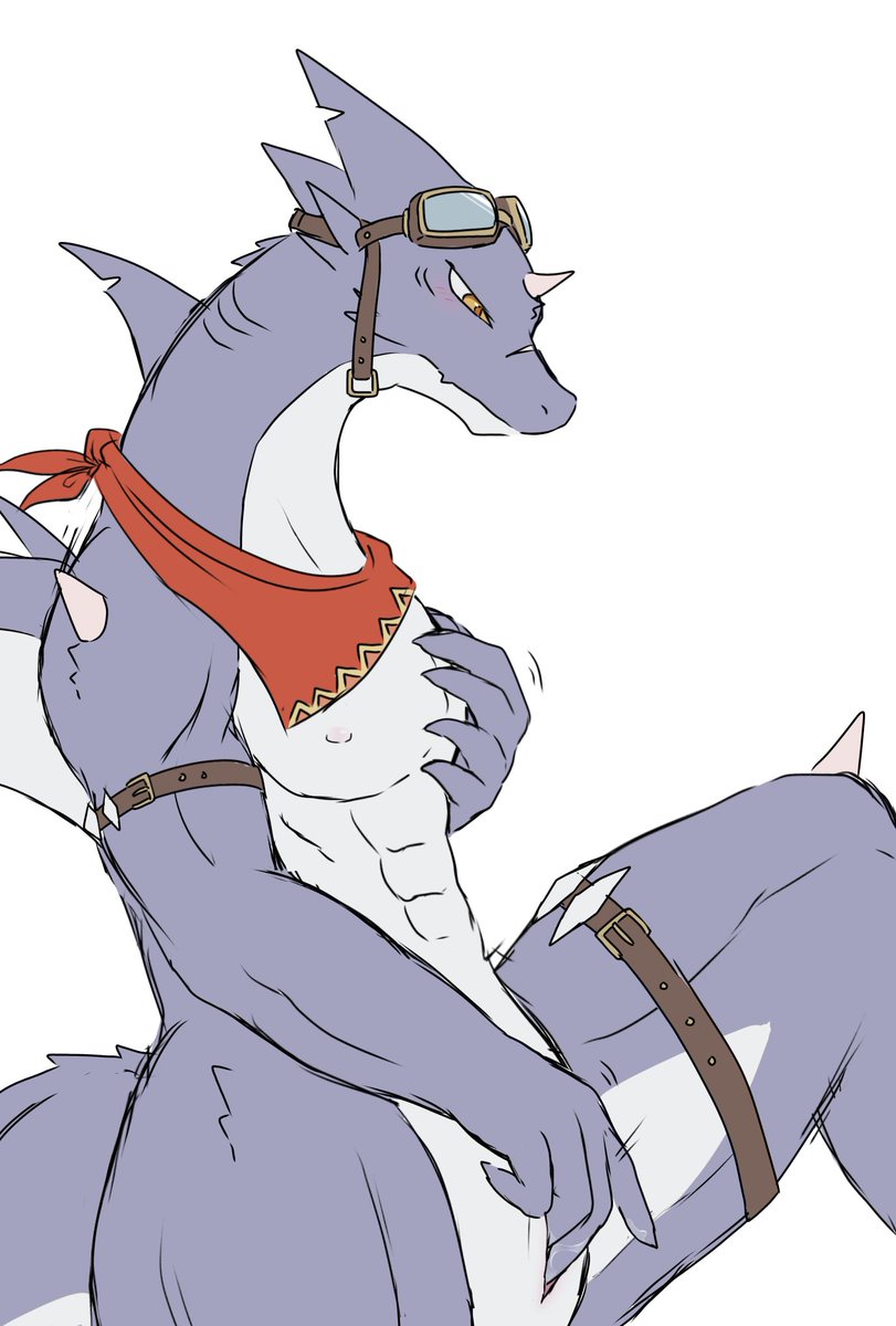 サメドラのらくがき