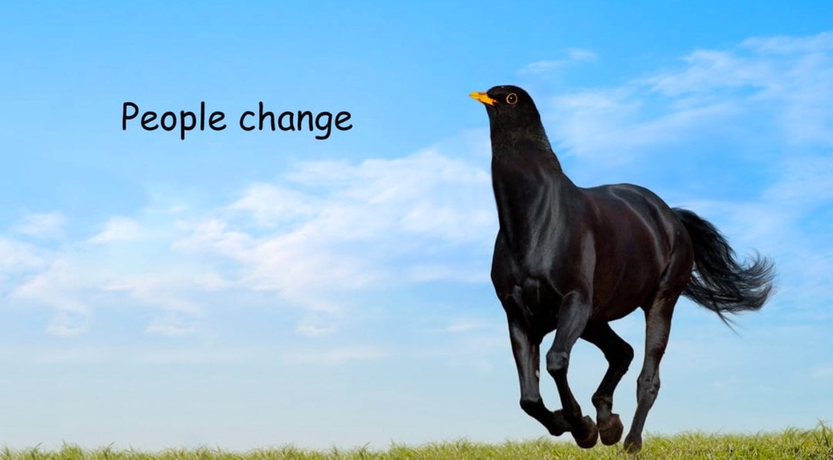 BILTIN's tweet image. gm