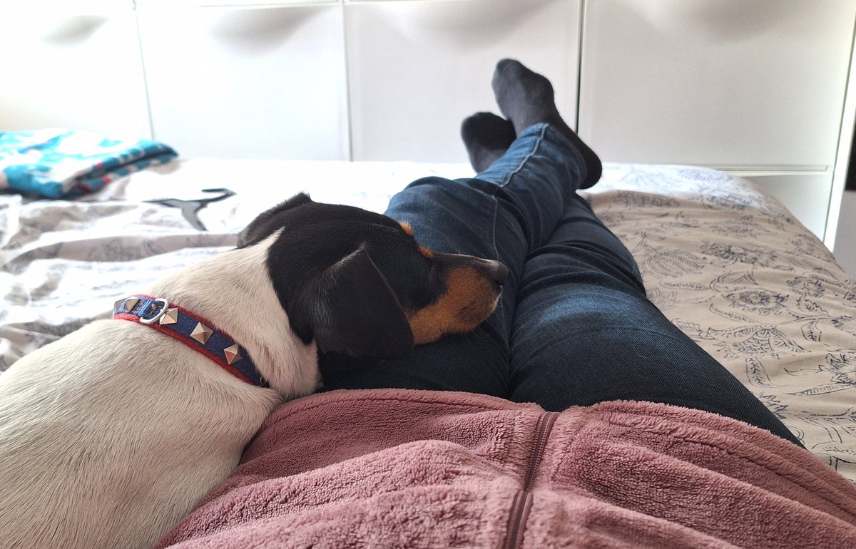 Mi perrapeuta. La mejor.