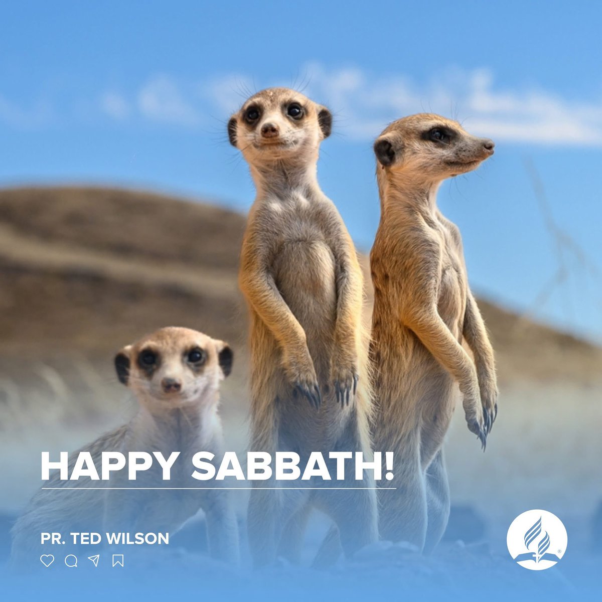 Have a very Happy Sabbath!
#HappySabbath