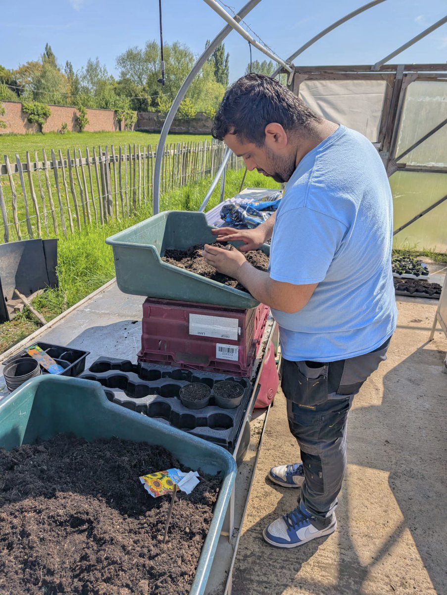 Transition2 tweet media