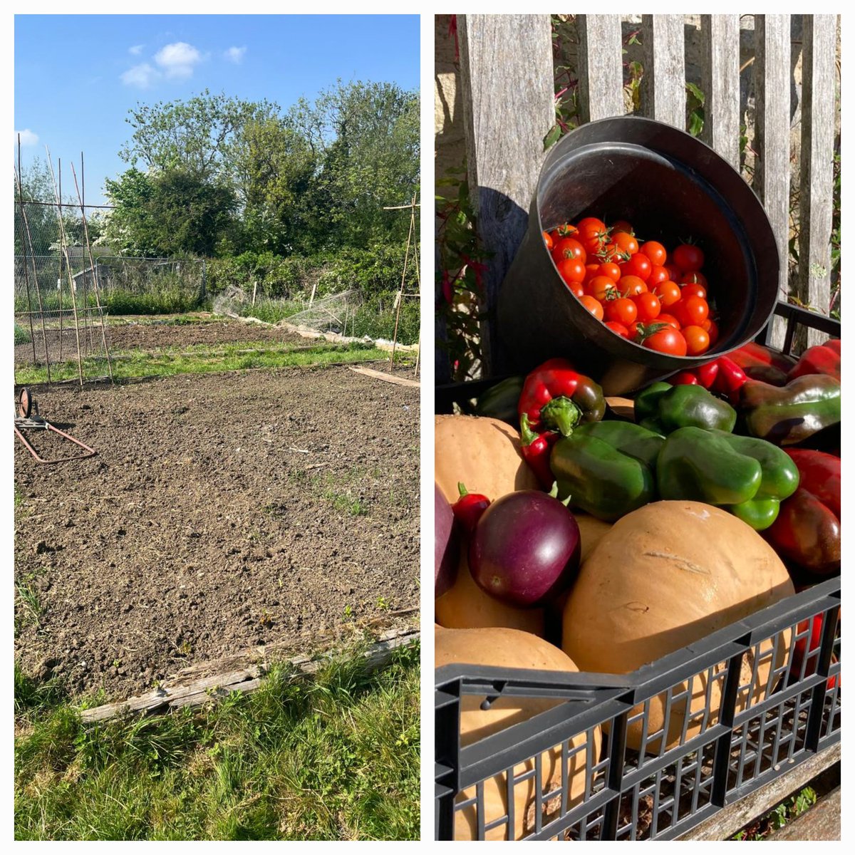 This week is #NationalGardeningWeek, and so we wanted to celebrate growers everywhere, whether you’re a seasoned farmer or all you have is a little vegetable plot. This is our MD Angus’s bumper crop from last year. Do you grow your own produce? We’d love to know